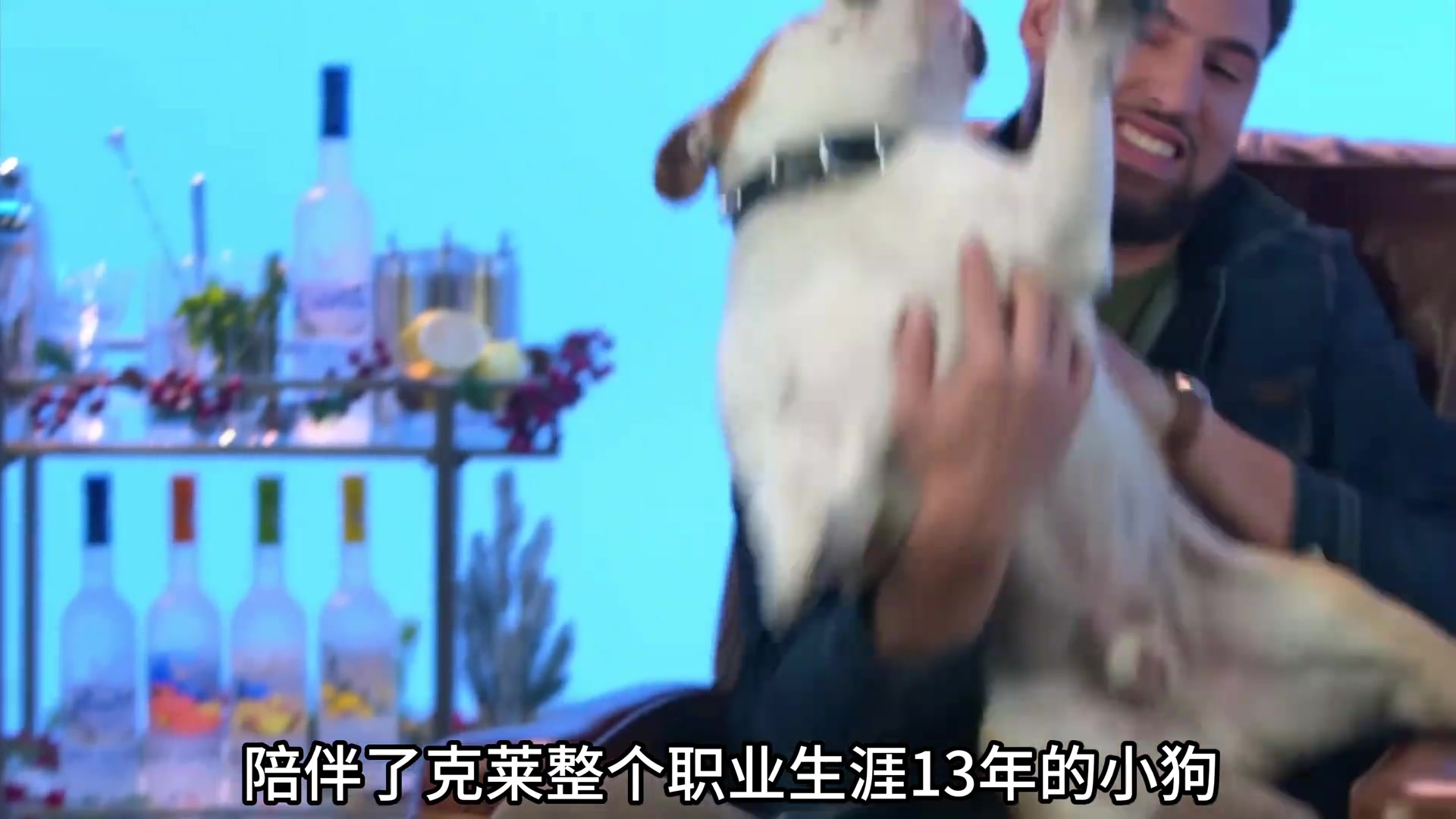 陪伴克莱13年的小狗去世了不敢相信克莱得多么伤心