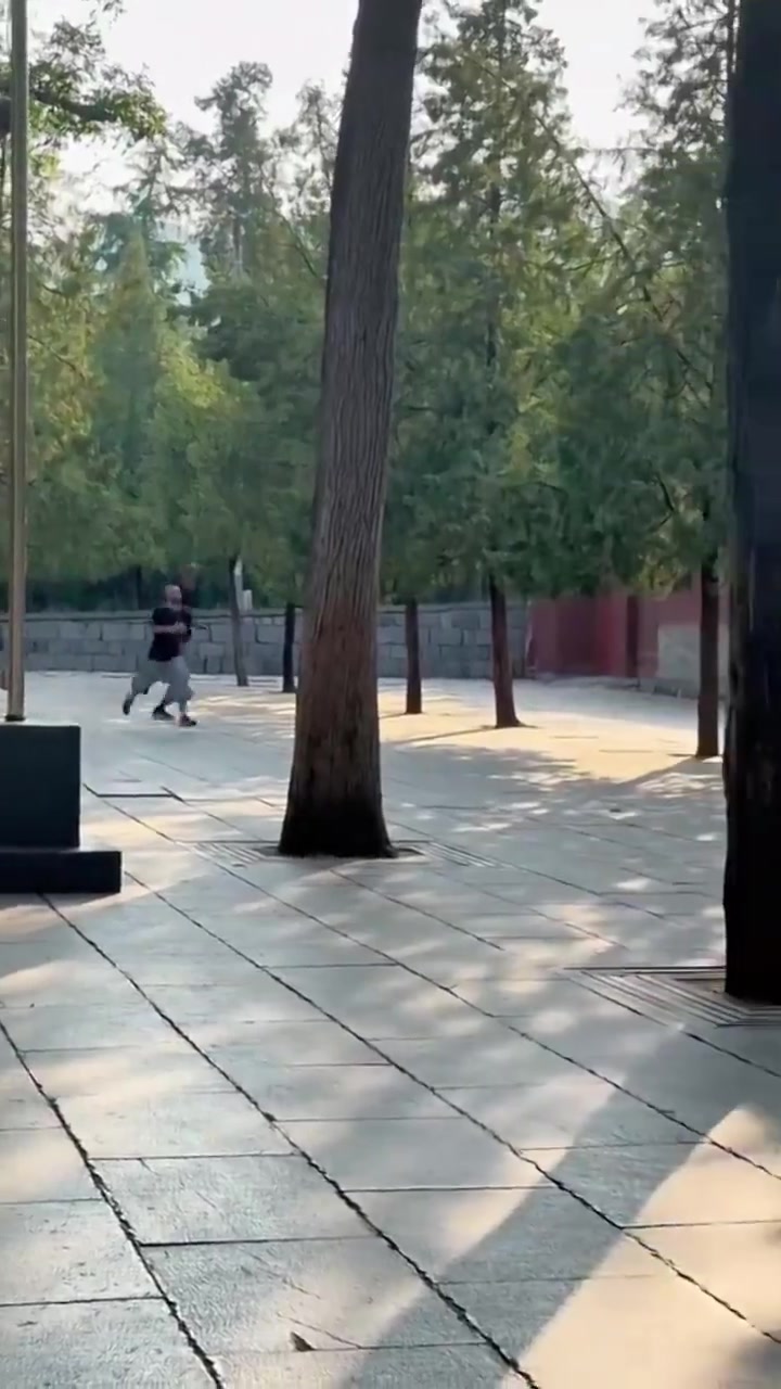 修行第五天了文班这第一高僧跑起来一步顶别人两步吧