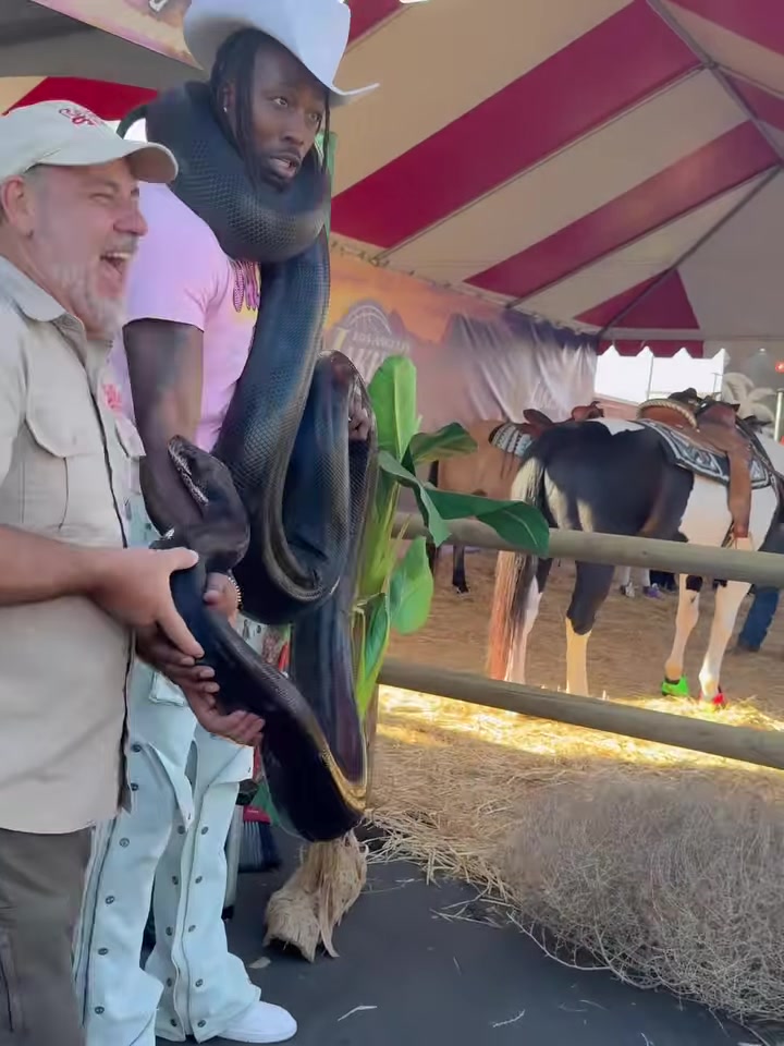 霍华德夫妻和蟒蛇玩耍火花把蛇缠身上嫂子吓得撒腿跑