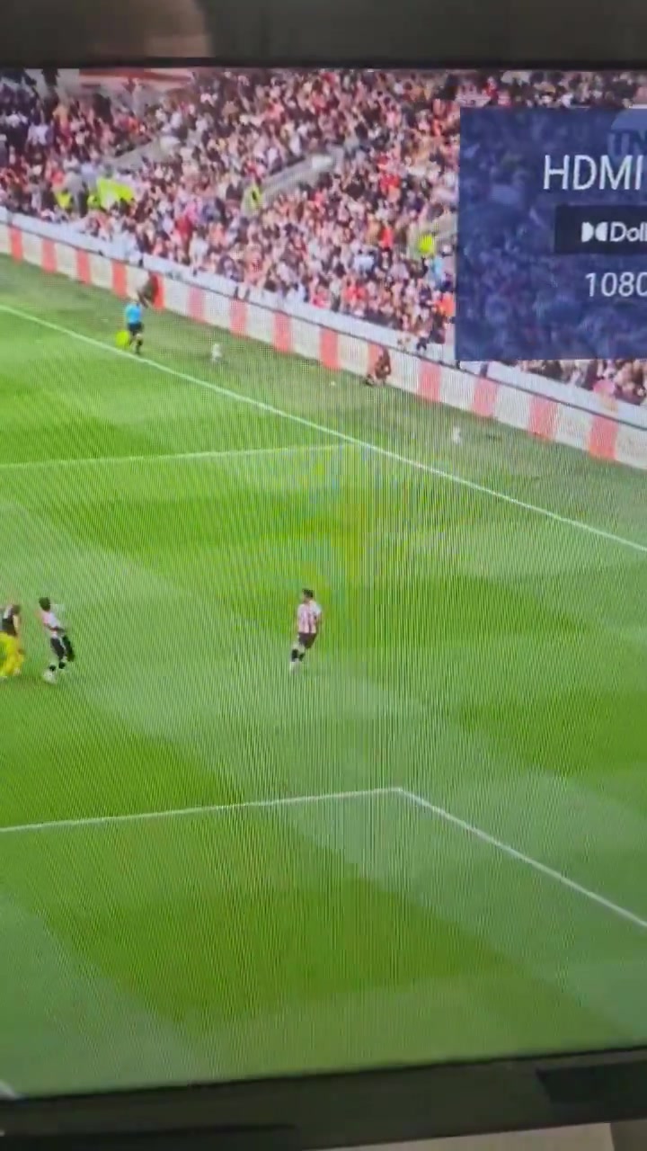 怒批曼联球迷马上把这没脑子的达洛特卖掉