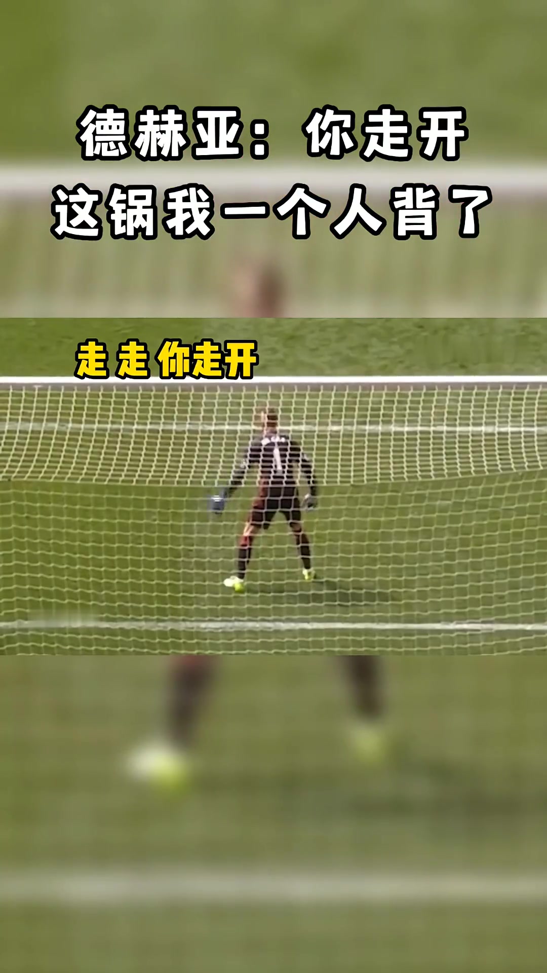 德赫亚你走开这锅我今天背定了
